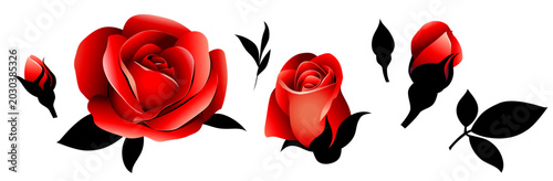 Set of decorative red rose bud and black leaf. Vintage flower design elements collection isolated on white. Vector stock illustration