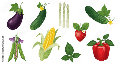 Fresh Vegetable Icons, Colorful Garden Elements, 10 Vegetable Illustrations, Garden Fresh Produce