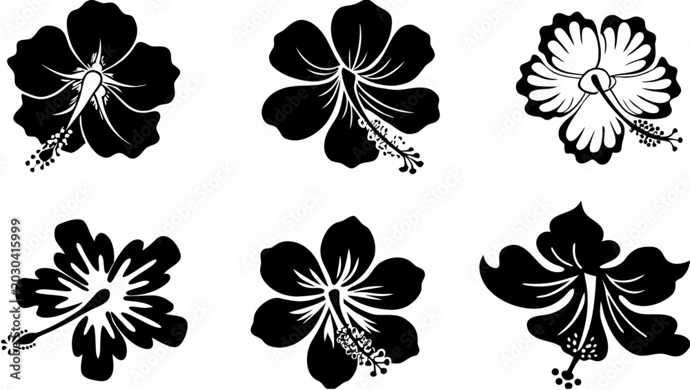 Fototapeta premium Black and white hibiscus flowers set on transparent background