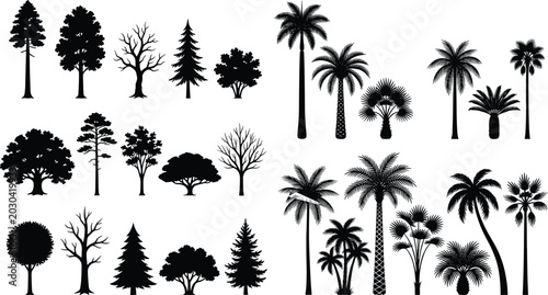 Foto Black and white line collection of various trees and palm silhouettes isolated o