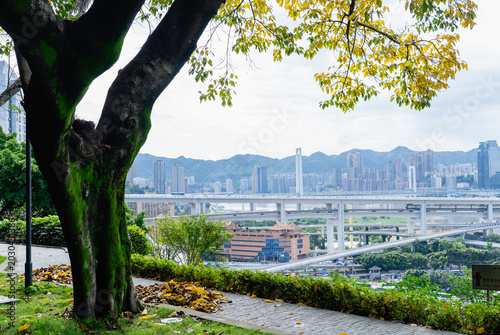 Chongqing Roosevelt Library