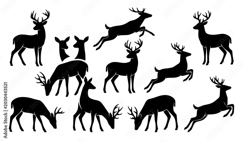 Fototapeta premium Deer Silhouette, Wild Forest Animal and Nature Vector Illustration Collection