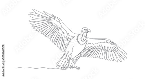 Quadro su tela Vulture Spreading Wings, One Line Drawing, Bird of Prey, Wildlife Art