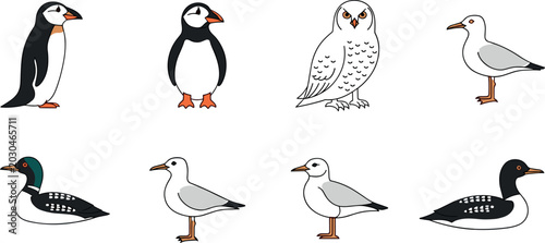 Schilderij op canvas Flat bird illustration set featuring penguin owl gull duck and seabird species i