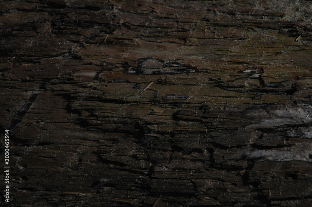 Fototapeta premium old wood texture