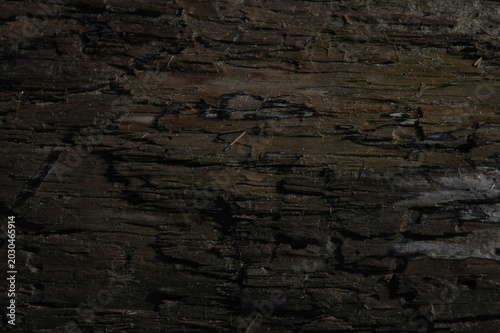 old wood texture