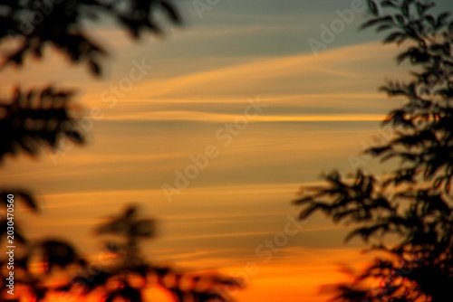 Tropical Sunset Over Calm Ocean with Silhouetted Palm Trees and Warm Glow