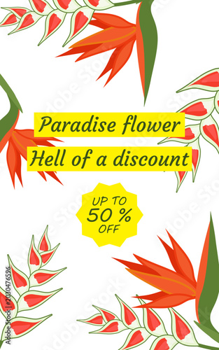 Summer tropical background. Exotic flowers. Vector illustration. Hawaii. Red heliconia and strelitzia on a white vertical background. Bright rectangular banner for last-minute deals.