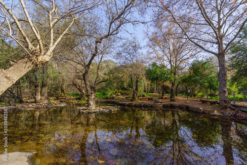 Wading pool, in Tel Dan Nature Reserve