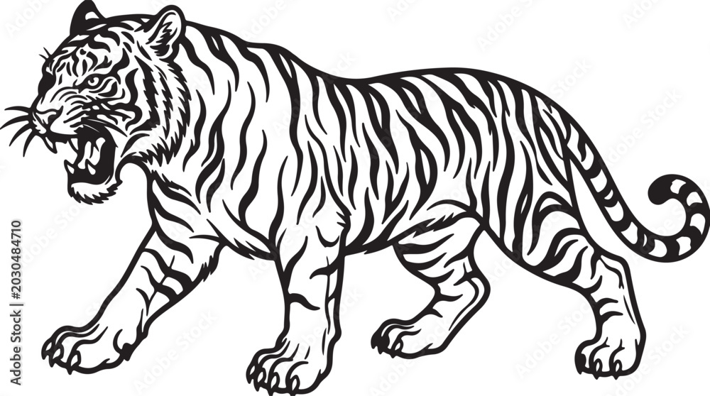 Fototapeta premium Walking Tiger
