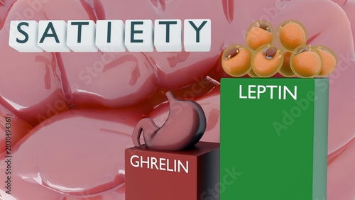 Bilde på lerret A 3D medical illustration of a low ghrelin column and a high leptin column under white tiles spelling SATIETY and a human brain