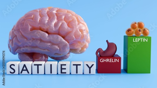 Fotografija A 3D medical illustration of a low ghrelin column and a high leptin column under white tiles spelling SATIETY and a human brain