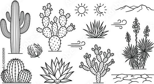 Photos Minimalist desert cactus line art set featuring saguaro agave prickly pear yucca