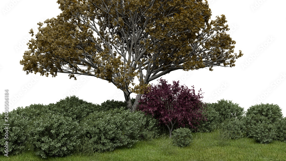 Fototapeta premium Tall tree stands with brown leaves beside smaller bushes in green grass. Bright light shows the details of the plants in this outdoor scene during the day. 3d render
