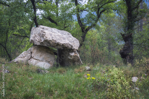 Exploring the Ancient Mystery of L'Oliva Dolmen in Vall De Cabo, Catalonia