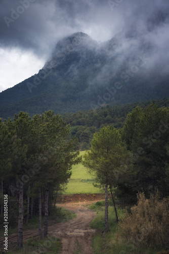 Journey Through Vall De Cabo's Enchanting Forest Path Under Cloudy Skies, Catalonia