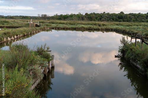 View of the marshes of Talmont Saint Hilaire in Vendee, France
