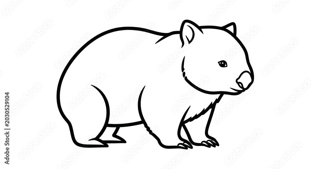 Fototapeta premium Wombat outline drawing, cute marsupial animal illustration, simple line art vector