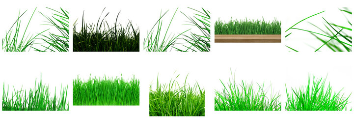 Transparent grass patches, lawn strips, green blades, turf borders and isolated grass elements set and collection for PNG overlay background design.