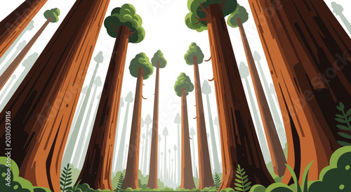 Bild auf Leinwand Giant Sequoia Forest, Upward View of Tall Trees and Lush Greenery