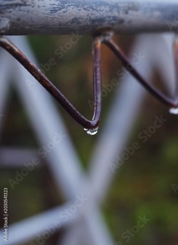 rusted curved metal wires with water droplets hanging from the tips., dew on the iron