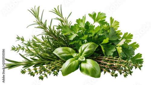 Fotografie Fresh bundle of basil rosemary thyme and parsley, isolated on transparent backgr