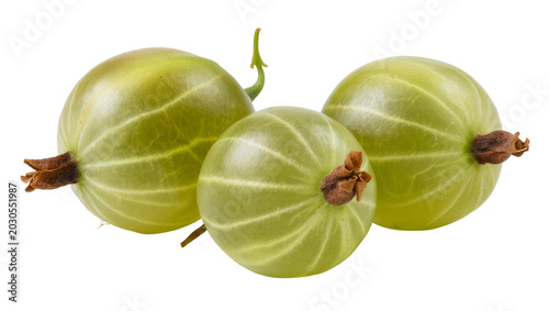 Foto Three ripe green gooseberries with stems and calyx remnants, isolated on transpa