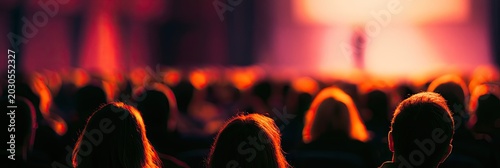 Audience members silhouetted against a brightly lit stage with a performer