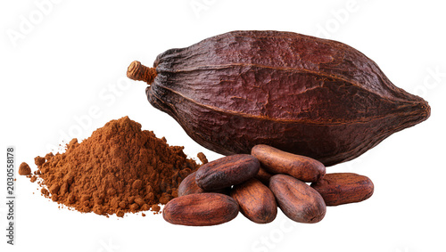 Konstfotografi Dark brown cocoa pod pile of cocoa powder and roasted cocoa beans, isolated on t