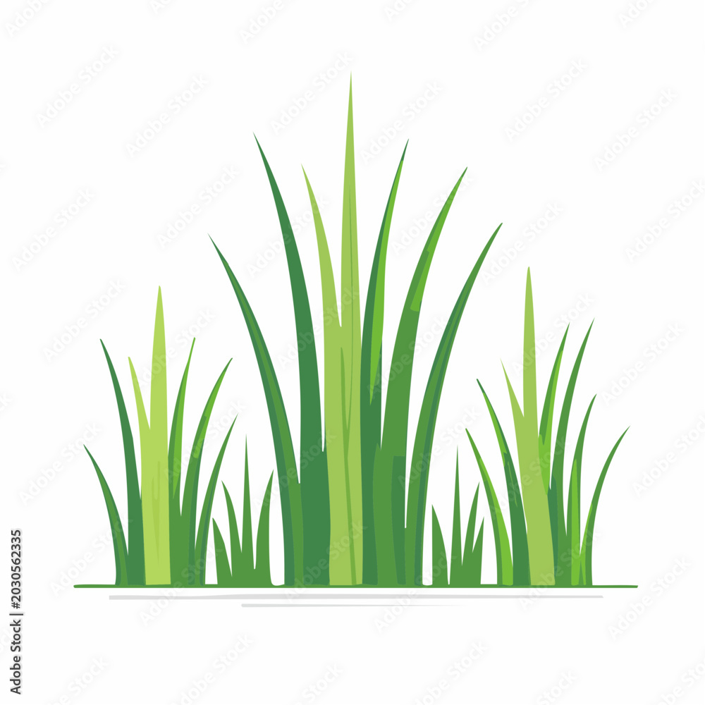 Fototapeta premium Illustration of green grass blades
