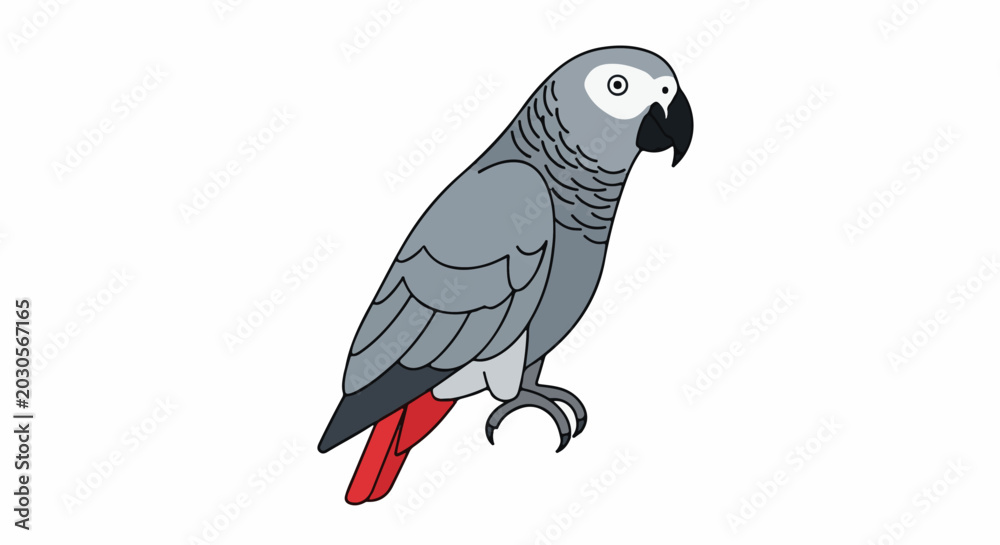 Obraz premium A cartoon drawing of a grey parrot with red tail feathers