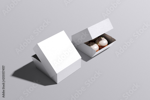 Realistic Donut Box Blank