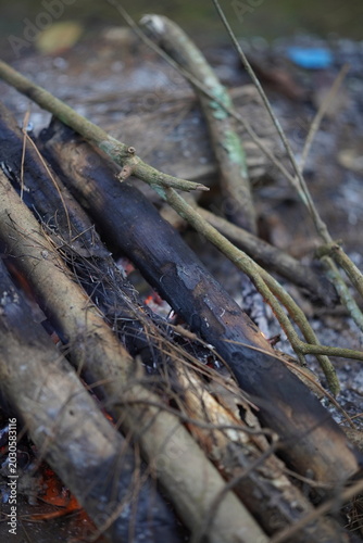 firewood left over from a campfire