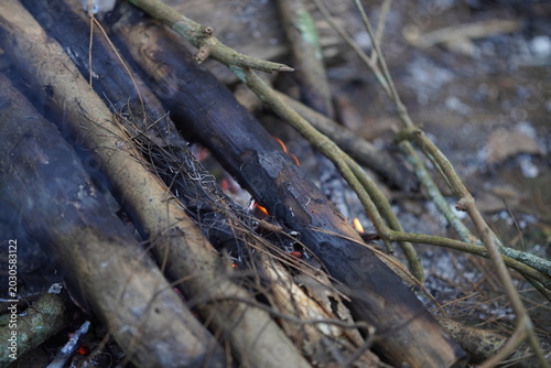 firewood left over from a campfire