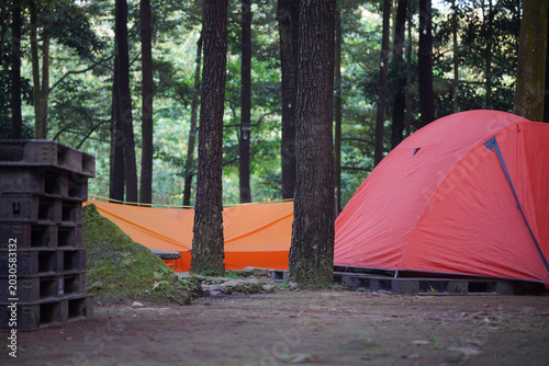 camp ground in the forest