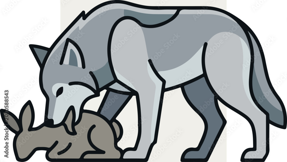Fototapeta premium Gray wolf eating rabbit prey.