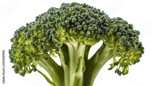 Photos Fresh green broccoli florets and thick stalk, isolated on transparent background