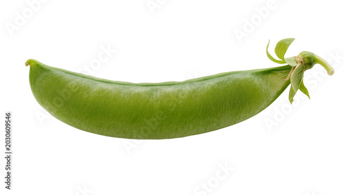 Foto Single green snow pea pod with stem and leaves, isolated on transparent backgrou