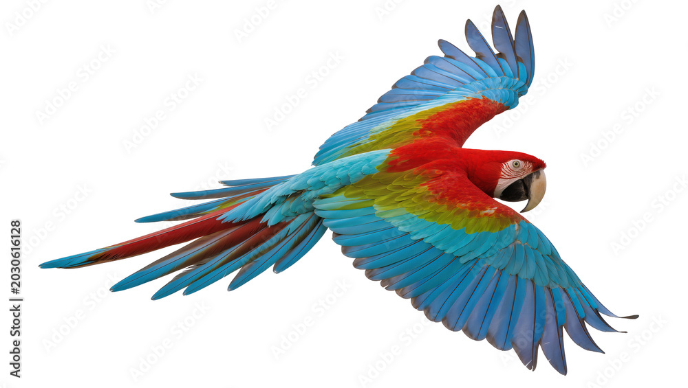 Obraz premium Vibrant red and blue macaw parrot in flight, isolated on transparent background