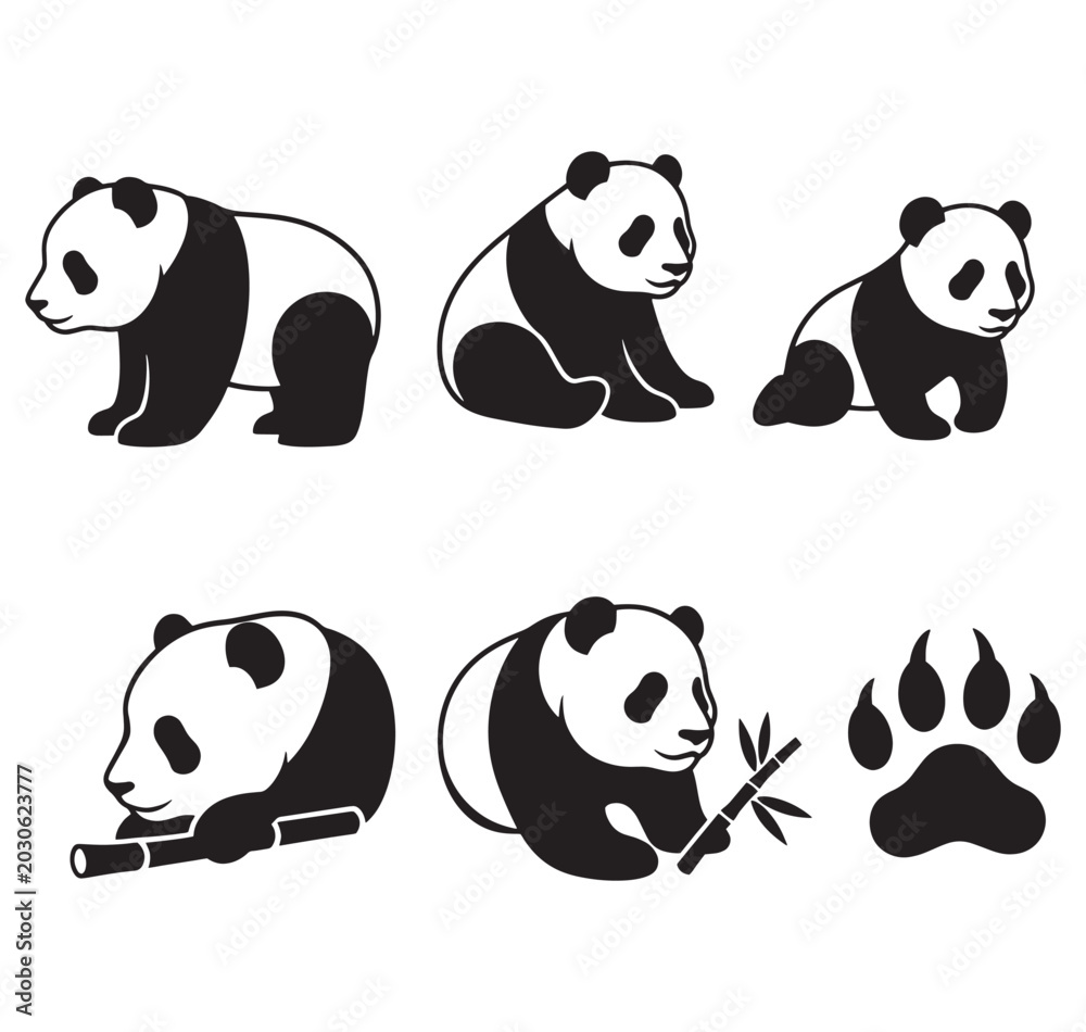 Obraz premium Giant panda bear illustrations in black and white sitting and eating bamboo various poses