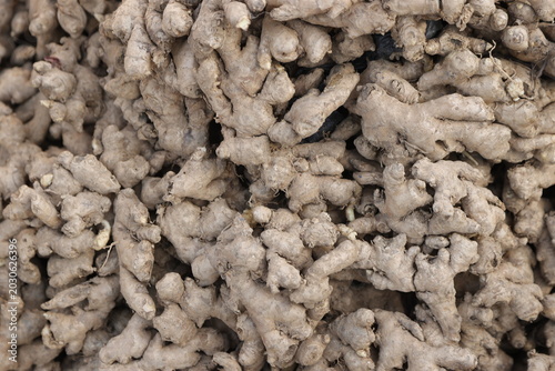 Canvas Print Ginger, an aphrodisiac plant with many other beneficial properties when consumed