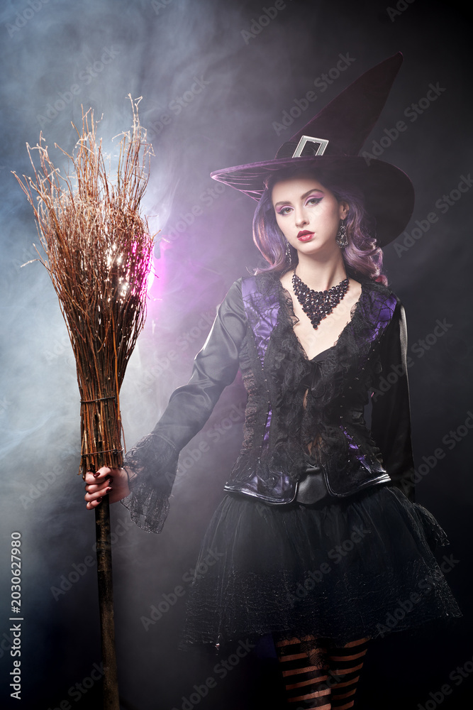 Fototapeta premium Shadow Broom Enchantress