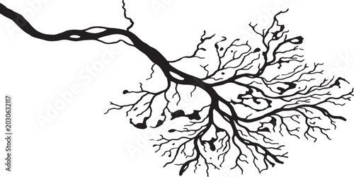 Canvastavla Organic fractal vein network, abstract black ink river delta spreading vector