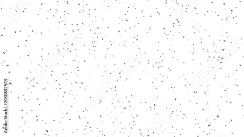 Flies fly chaotically, a flock of insects, a white background. Swarm of flies in flight, animation of insects. Flying flies silhouettes, a massive swarm of insects.