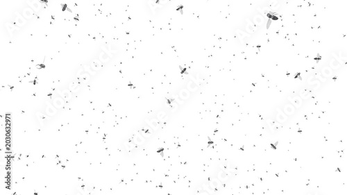 Thousands of swarming flies. A huge colony of flying flies. Diptera insects. A massive group flight on a white background.