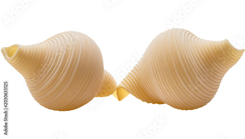 Foto Two large conchiglie rigate pasta shells, isolated on transparent background