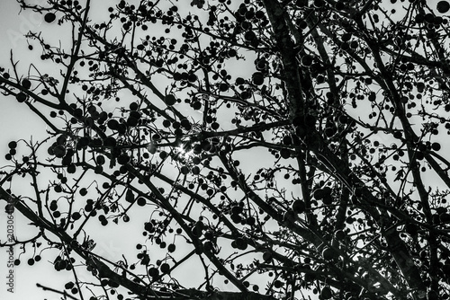 Black and white photos, monochrome photos - Europe, Eastern Europe 