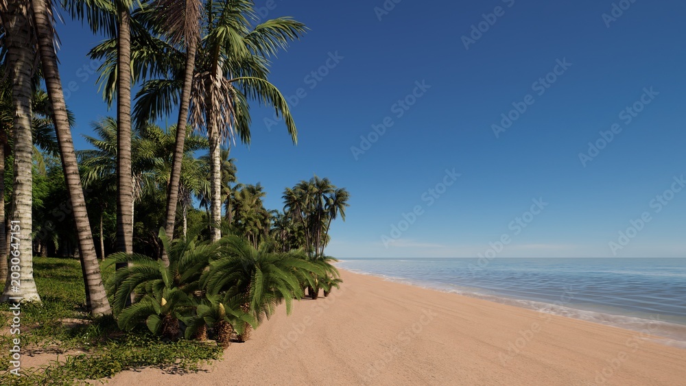 Fototapeta premium Tropical Beach with Palm Trees and Clear Blue Sky
