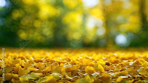 Golden autumn ground covered in fallen leaves, soft sunlight filters through trees