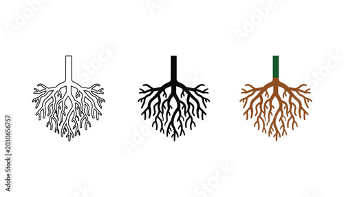 Schilderij op canvas Complex tree root system icon set in artistic line art and organic brown color v